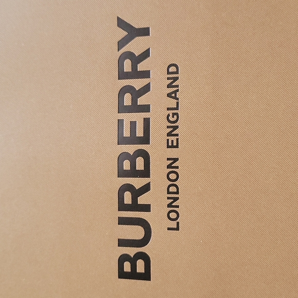 Burberry Paper Bag - Picture 2 of 4